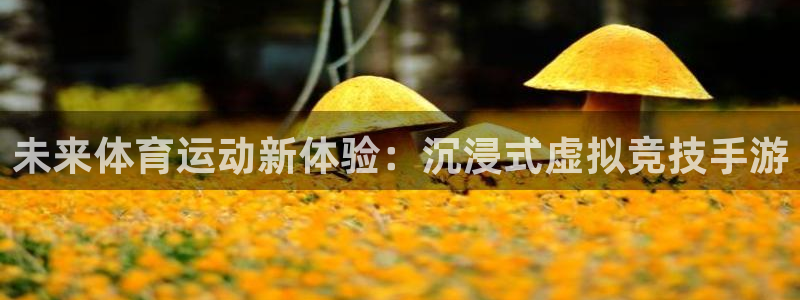 德国MK体育官方正版app集团:未来体育运动新体验:沉浸式虚